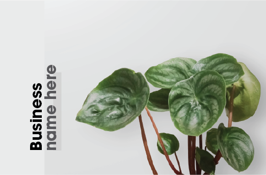 Card design, closeup of plant