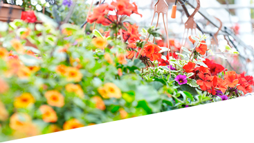 garden center image